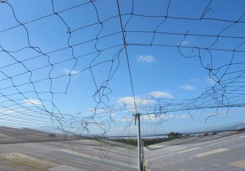 Bird netting with holes in it