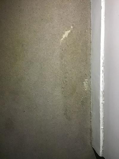Clothes moth damage in London